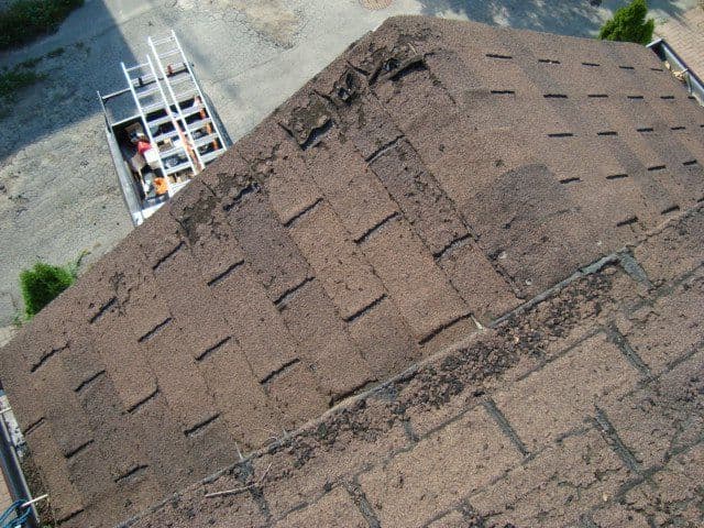 5-Signs-Your-Roof-Has-Damaged-Shingles